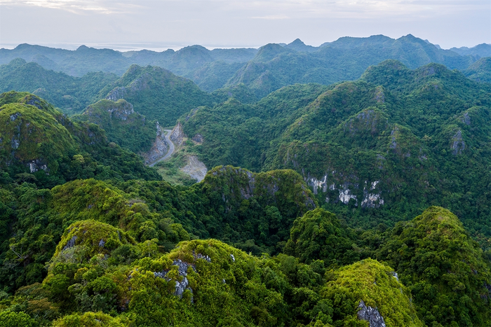 Complete Guide to Cat Ba National Park